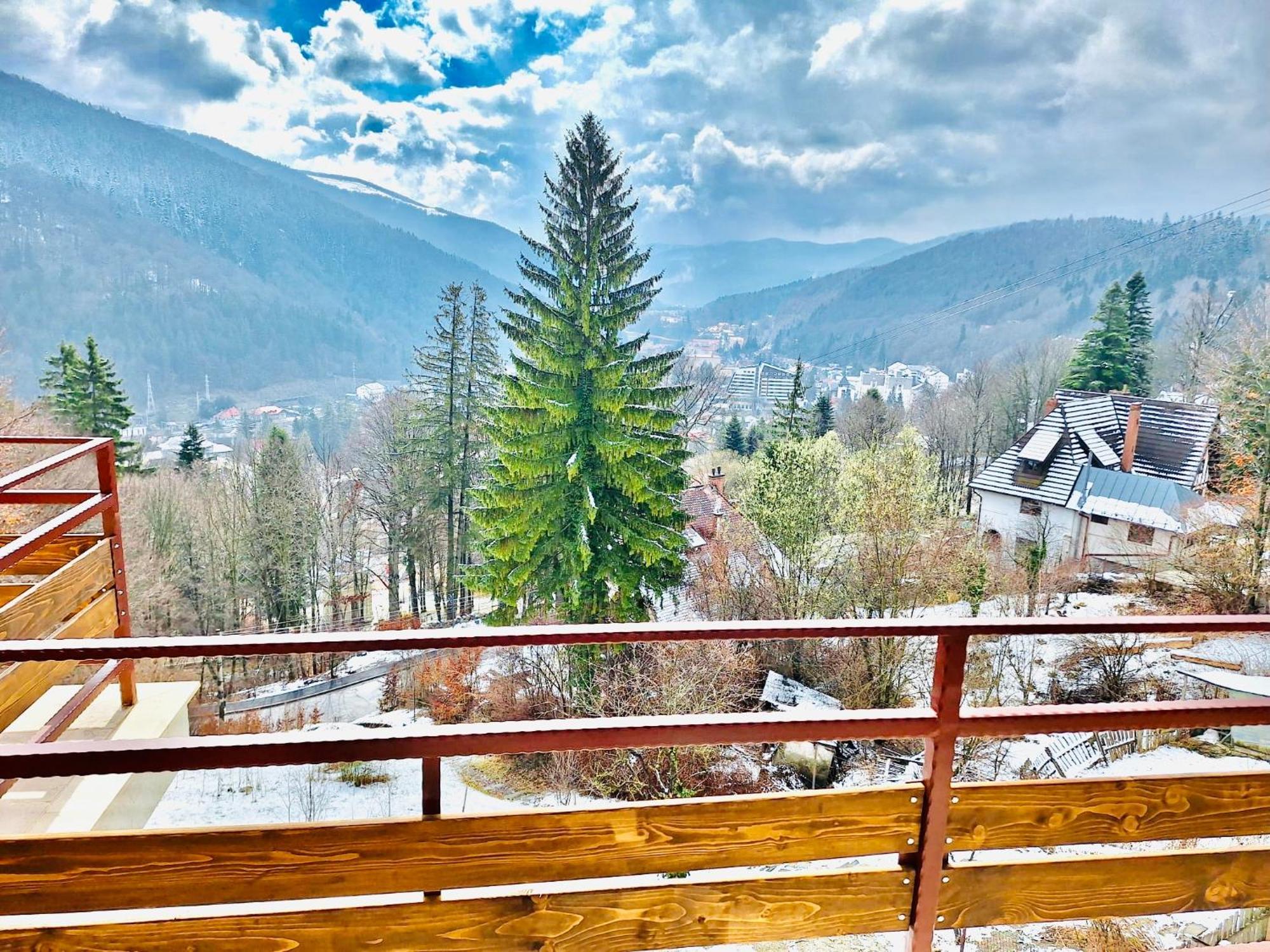 Stone House Sinaia 빌라 외부 사진