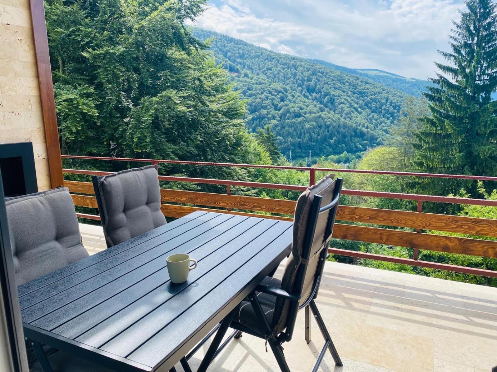 Stone House Sinaia 빌라 외부 사진