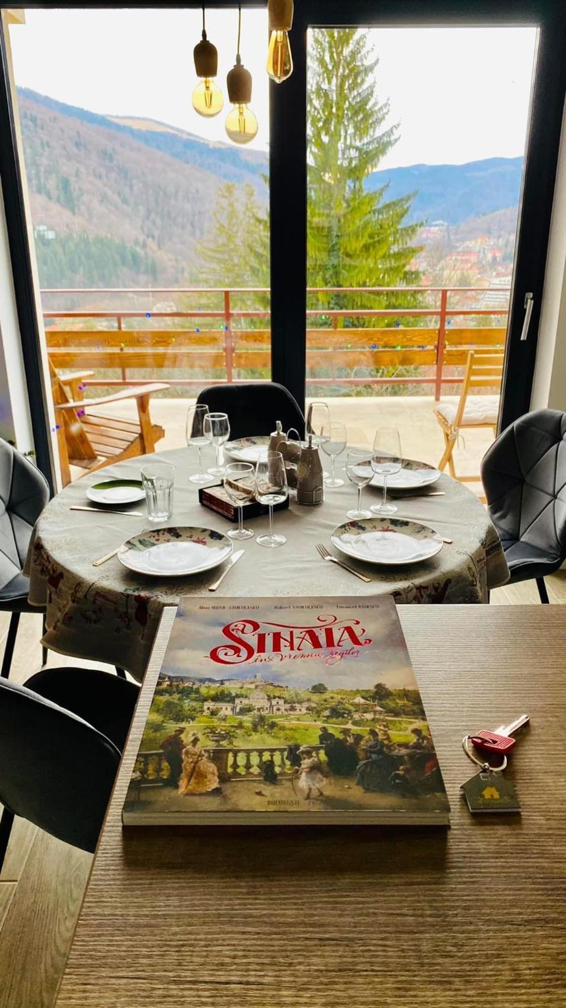 Stone House Sinaia 빌라 외부 사진