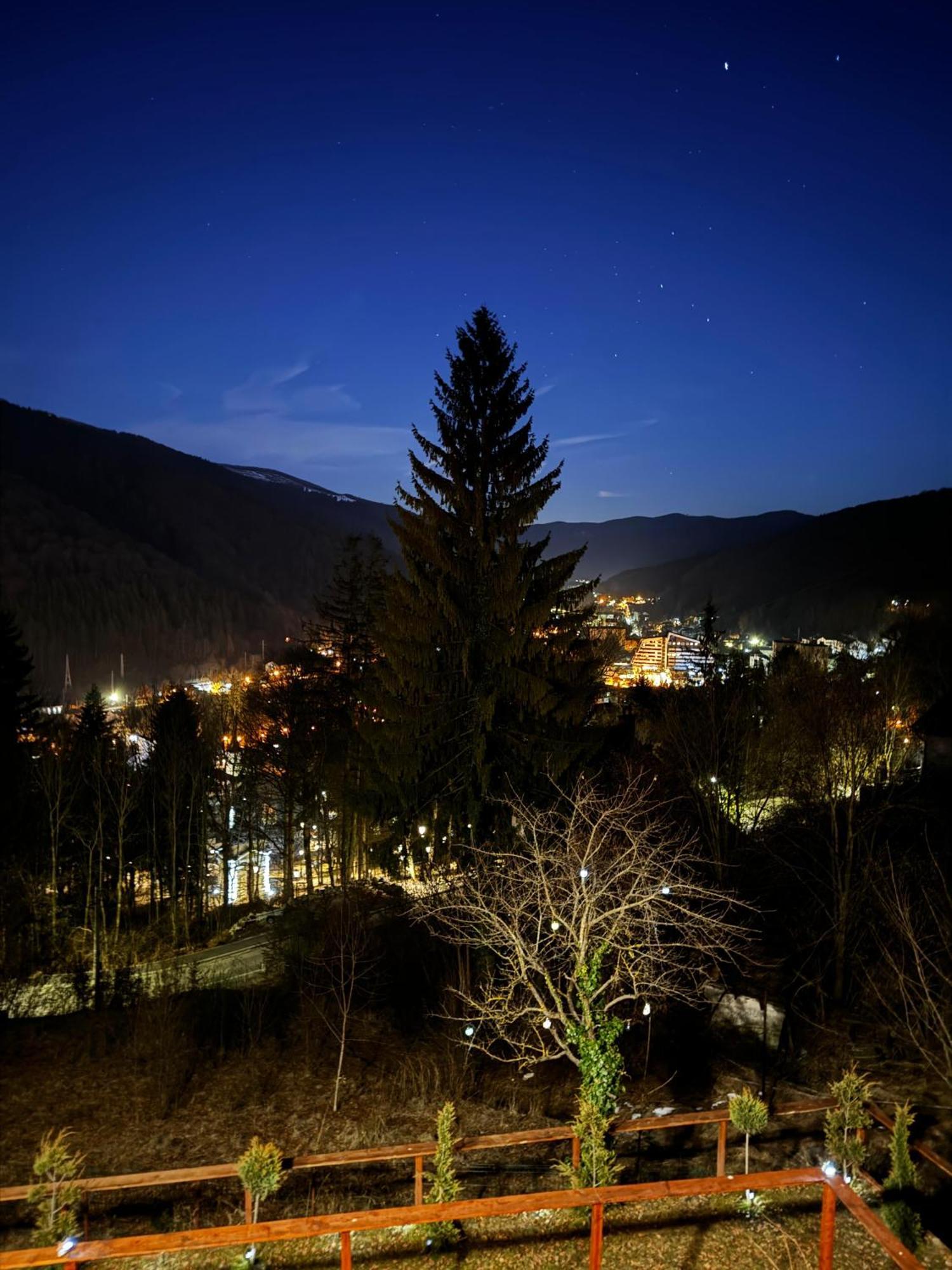 Stone House Sinaia 빌라 외부 사진